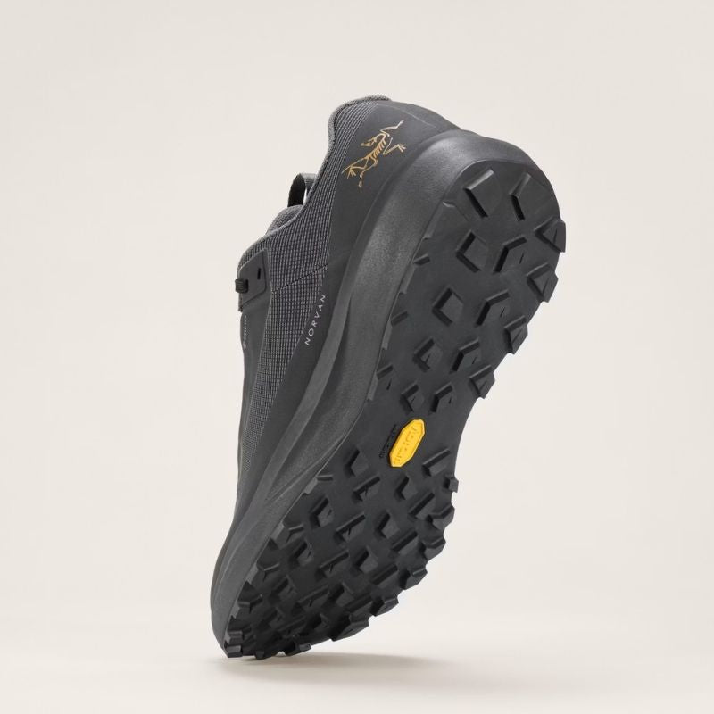 Arc'teryx Norvan LD 4 GTX Shoe Men's