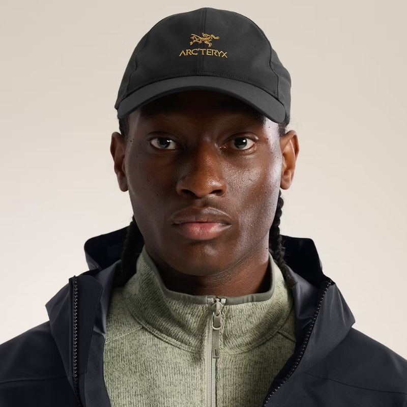 Arc'teryx Bird Word Cap