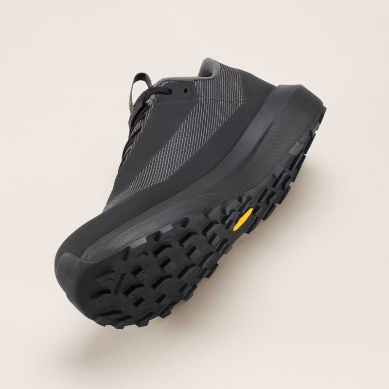 Arc'teryx Norvan LD 4 GTX Shoe Women's