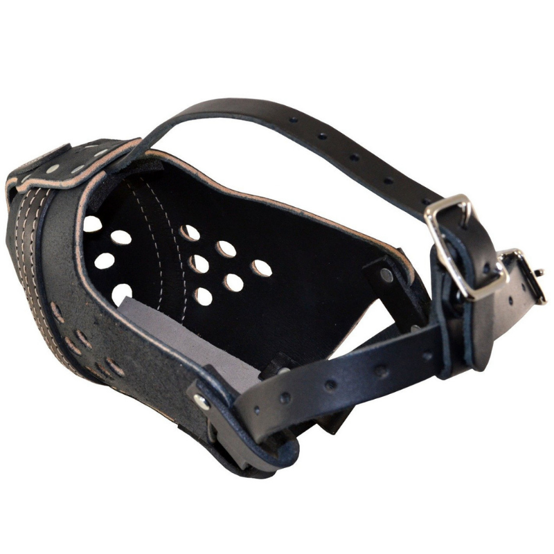 Ray Allen Manufacturing Original RAM Leather Agitation Muzzle