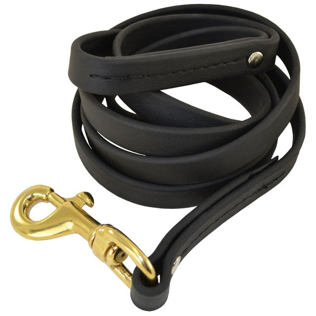 Ray Allen Manufacturing Biothane Dog Leash