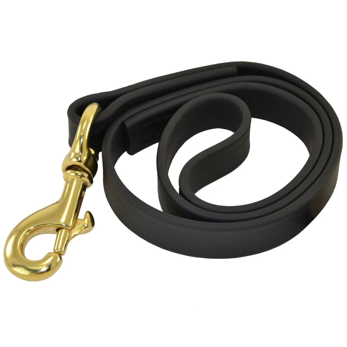 Ray Allen Manufacturing Biothane Dog Leash
