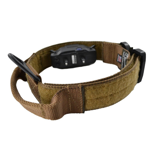 Ray Allen Manufacturing E-Lusive 2.0™ ID Collar