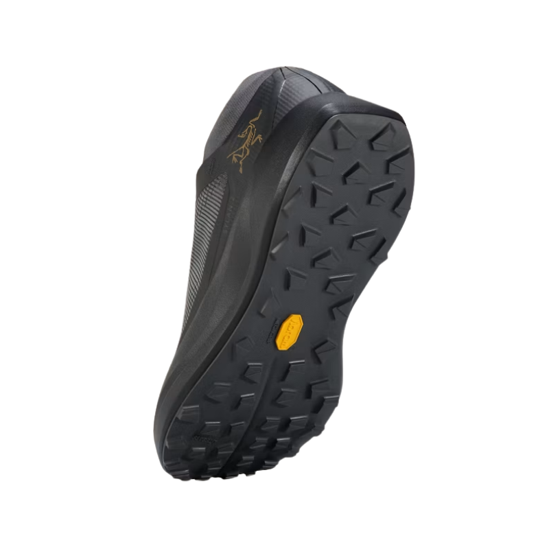 Arc'teryx Sylan 2 Shoe Men's
