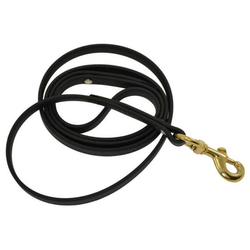 Ray Allen Manufacturing Biothane Dog Leash