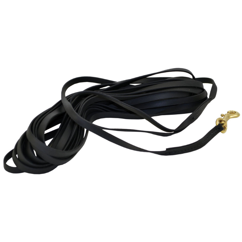 Ray Allen Manufacturing Biothane Dog Leash