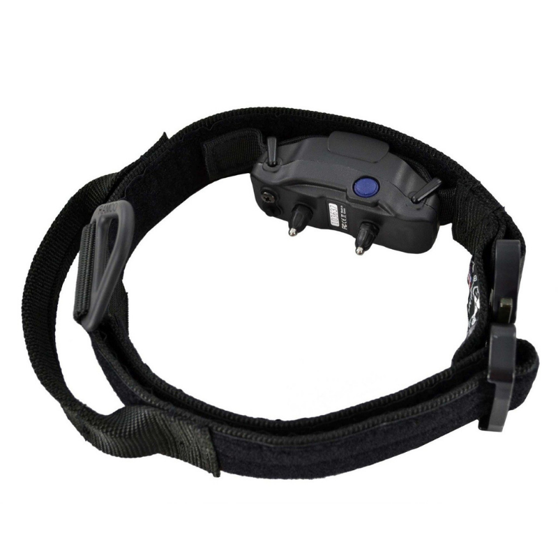 Ray Allen Manufacturing E-Lusive 2.0™ ID Collar
