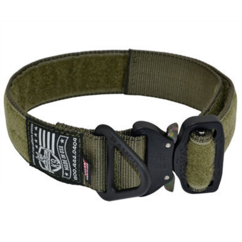 Ray Allen Manufacturing Cobra Buckle Dog Collar | Ranger Green
